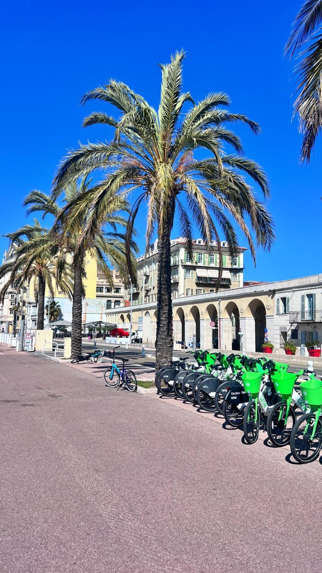 Le Riquier - Port Lympia à 10 Mins à Pied Nice